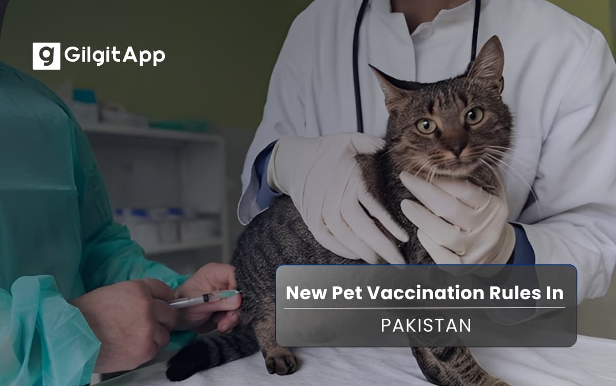 New Pet Vaccination Rules in Pakistan You Need to Know